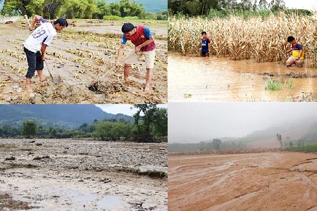 Cách khôi phục vùng đất nông nghiệp bị vùi lấp sau mưa bão