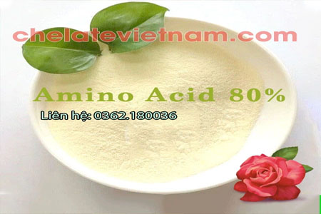 Amino Acid (Axit Amin) 80% dạng bột tan 100%