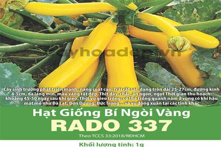 Bán hạt giống bí ngồi vàng Rado 337 (1g)