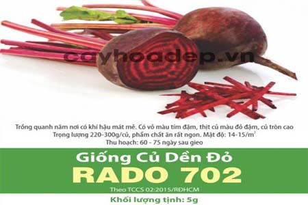 Bán hạt giống củ dền đỏ Rado 702 (5g)