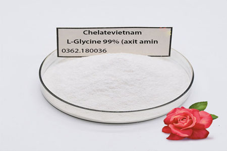 Bán L-Glycine 99% (axit amin) tăng sự quang hợp, tổng hợp đường, tăng hiệu quả phân bón