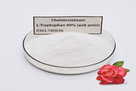 Bán L-Tryptophan 99% (axit amin) tiền chất tổng hợp Auxin thực vật