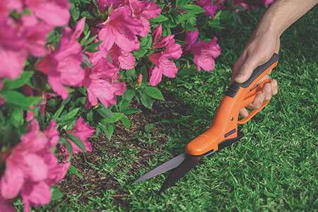Bộ dụng cụ làm vườn cắt tỉa cần thiết để làm đẹp khu vườn của bạn
