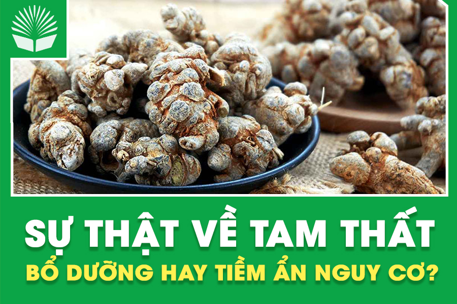 Sự Thật Về Tam Thất: Bổ Dưỡng Hay Tiềm Ẩn Nguy Cơ?