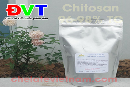 Bán Chitosan 96-98% Vắc Xin cây trồng (dạng bột)