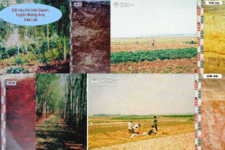 Một số tính chất của đất trồng có khả năng trồng ngô ở Việt Nam