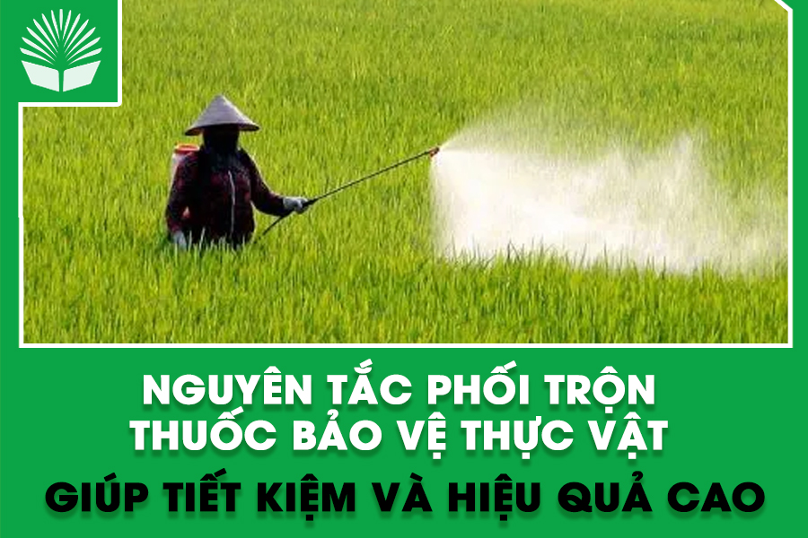 Nguyên tắc phối trộn thuốc bảo vệ thực vật giúp tiết kiệm và hiệu quả cao
