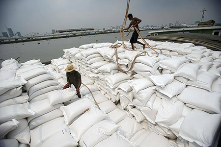 Việt Nam xuất khẩu gạo có nhiều triển vọng trong năm 2020