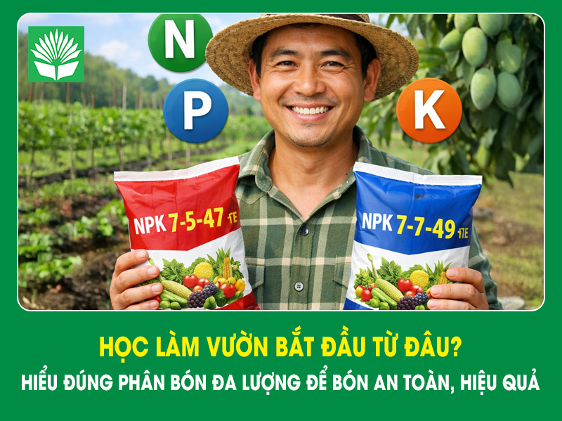 Học làm vườn bắt đầu từ đâu? hiểu đúng phân bón đa lượng để bón an toàn, hiệu quả