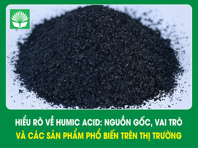 Hiểu rõ về Humic Acid: Nguồn gốc, vai trò và các sản phẩm phổ biến trên thị trường