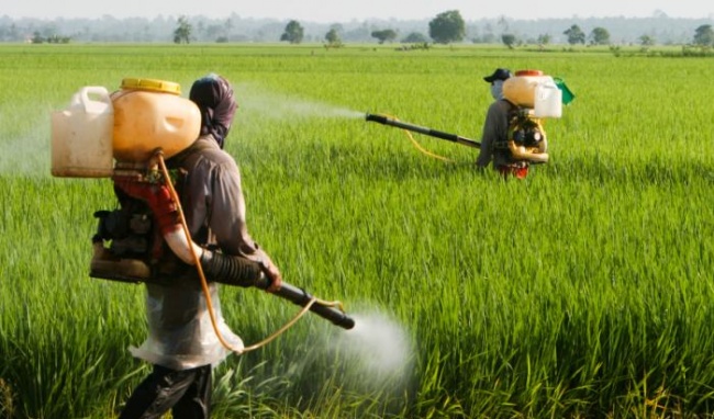 Vì sao thêm 4 hoạt chất bị loại khỏi danh mục thuốc bảo vệ thực vật tại Việt Nam?