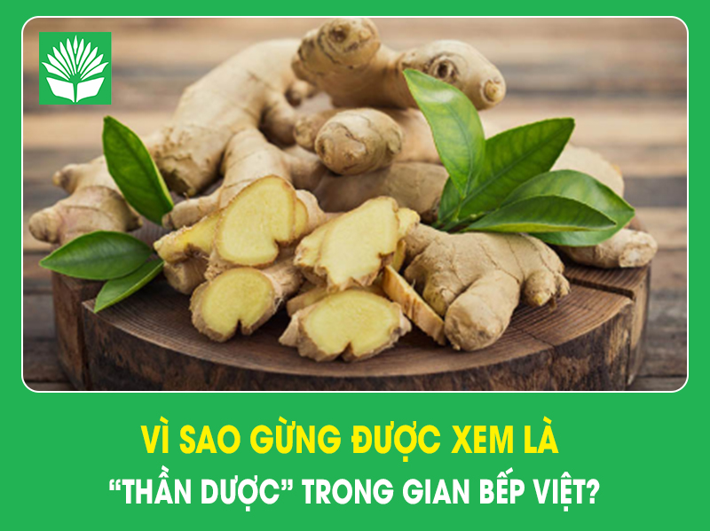 Vì sao gừng được xem là “thần dược” trong gian bếp Việt?