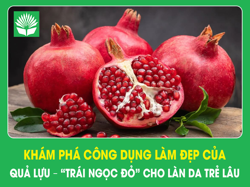 Khám phá công dụng làm đẹp của quả lựu – “trái ngọc đỏ” cho làn da trẻ lâu