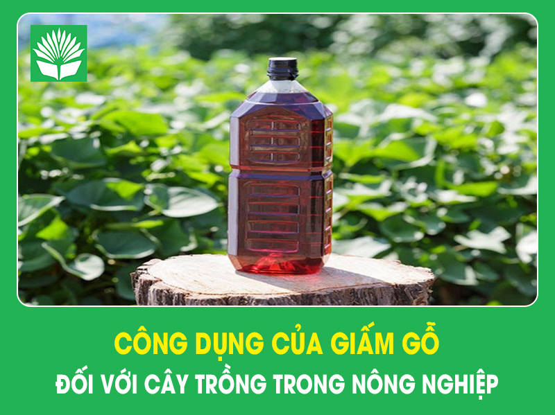 Công dụng của giấm gỗ đối với cây trồng trong nông nghiệp