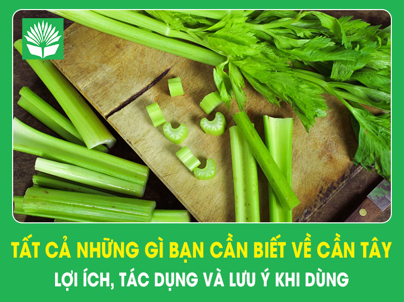 Tất cả những gì bạn cần biết về cần tây: Lợi ích, tác dụng và lưu ý khi dùng