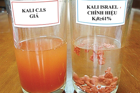 Phân biệt Kali thật - giả bằng 1 ly nước