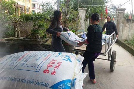 Nghi Lộc: Cung ứng 900 tấn phân bón trả chậm cho nông dân