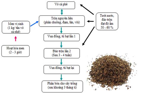 Quy trình xử lý vỏ cà phê làm phân bón cho cây trồng