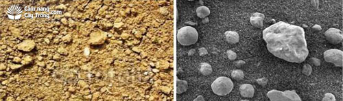 Đất gồm nhiều loại hạt khác nhau