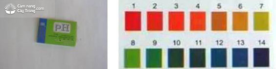 Giấy thử pH và bảng so màu xác định pH đất