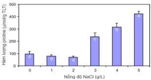 Ảnh hưởng của NaCl