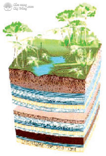 chất humic có thể được tìm thấy trong tất cả các loại đất và nước và đứng dậy từ phân hủy thực vật.