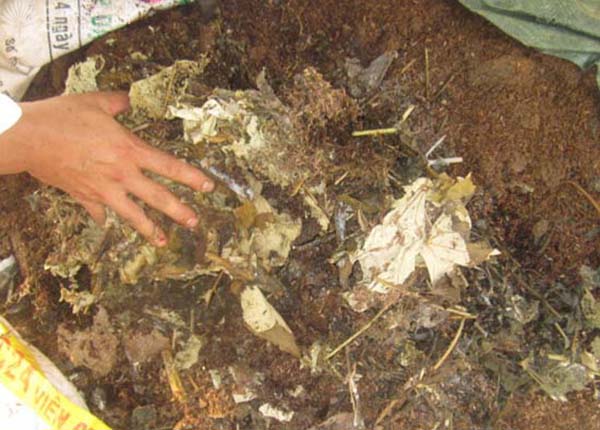 Phân ủ sinh hoạt (Bio-Compost)