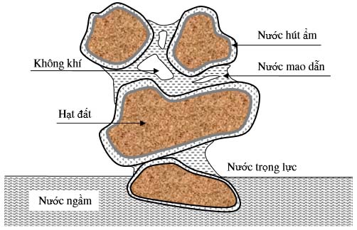 Quan hệ giữa đất nước và cây trồng