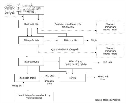 Quá trình sản xuất ure