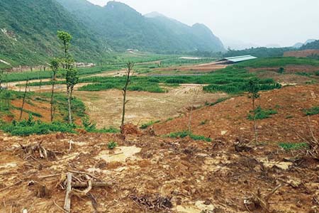 Thành lập được gần 1 năm nhưng trang trại của Công ty Nam Việt vẫn chưa nuôi bò ẢNH: HÀ AN