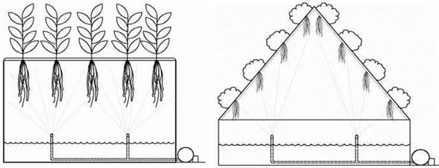 Hệ thống trồng rau khí canh