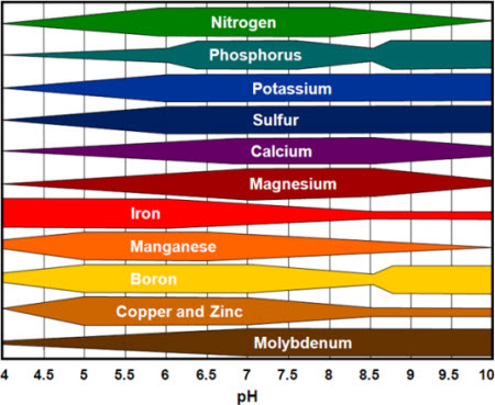 Khả năng hoạt động của một số dinh dưỡng cây trồng theo pH đất