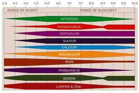 Ảnh hưởng của pH đất đến khả năng hấp thụ phân bón, máy đo pH đất