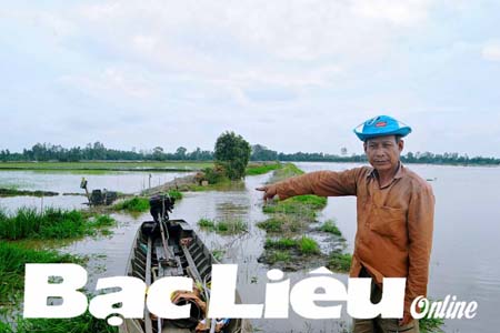 Nông dân Quách Văn Dự (xã Ninh Quới, huyện Hồng Dân) đang chờ nước rút để xuống giống vụ lúa đông xuân. Ảnh: P.Đ