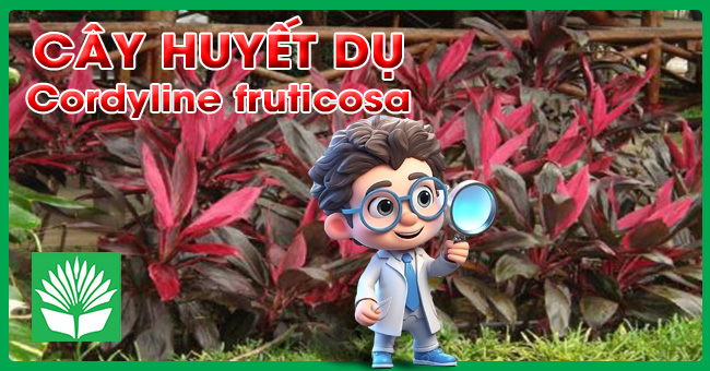 Cây huyết dụ