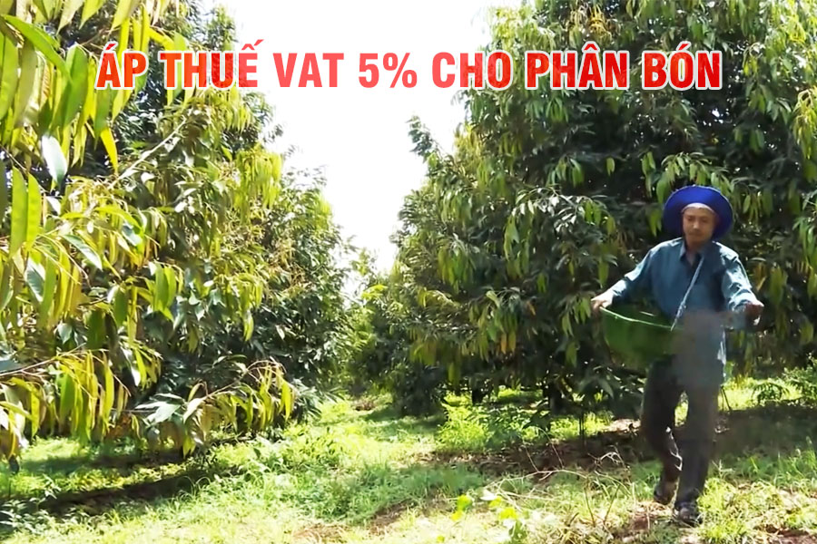 Áp thuế VAT 5% cho phân bón: Lợi ích và thách thức cho nông dân và ngành phân bón trong nước