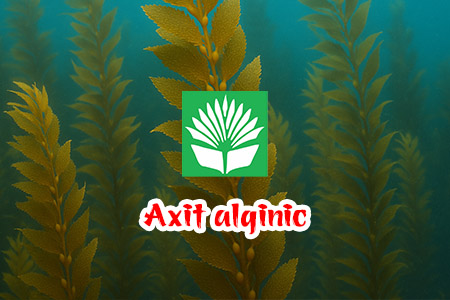 Axit alginic (Alginic Acid hoặc C6H8O6ₙ)