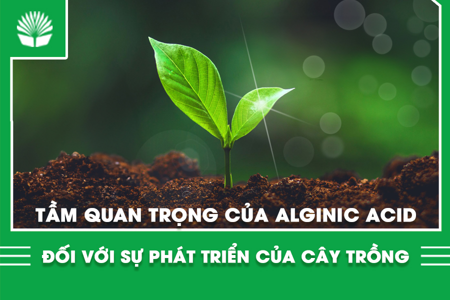 Tầm quan trọng của Alginic acid đối với sự phát triển của cây trồng