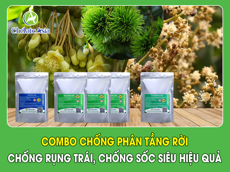 COMBO CHỐNG PHÂN TẦNG RỜI: Chống rụng trái, chống sốc siêu hiệu quả