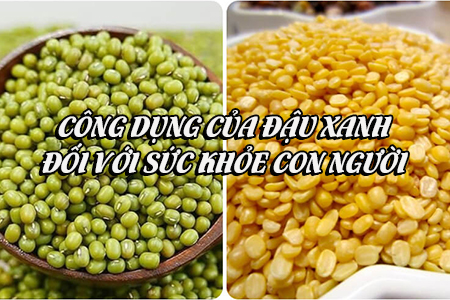 Công dụng của đậu xanh đối với sức khỏe con người