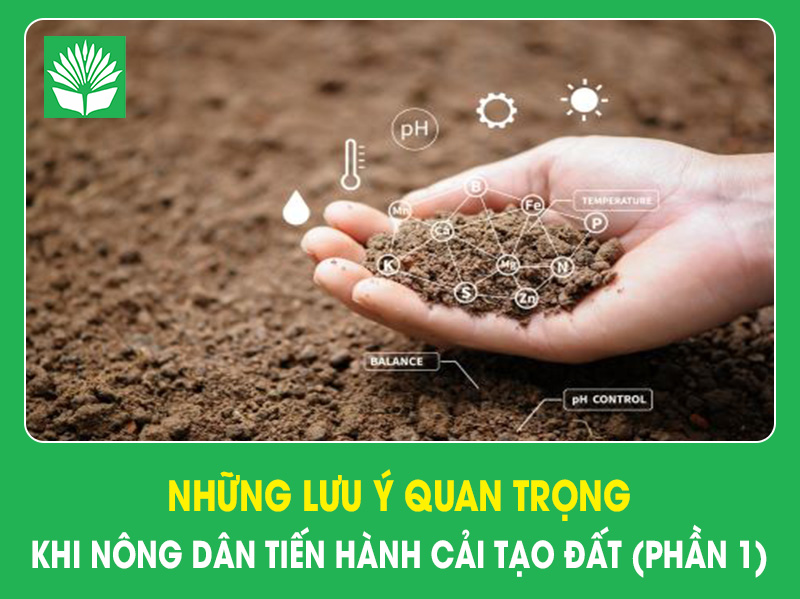 Những lưu ý quan trọng khi nông dân tiến hành cải tạo đất (Phần 1)