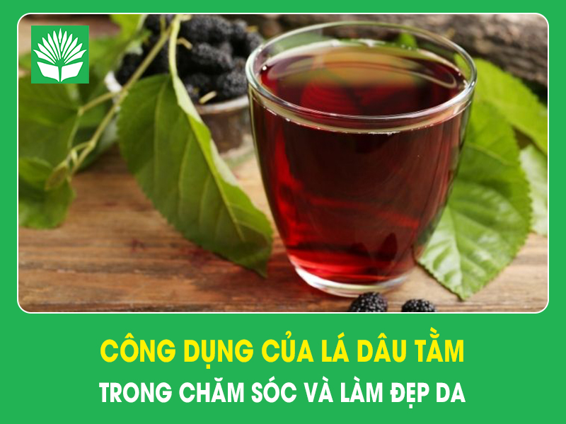 Công dụng của lá dâu tằm trong chăm sóc và làm đẹp da