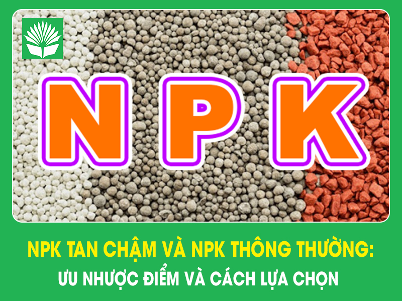 NPK tan chậm và NPK thông thường: Ưu nhược điểm và cách lựa chọn