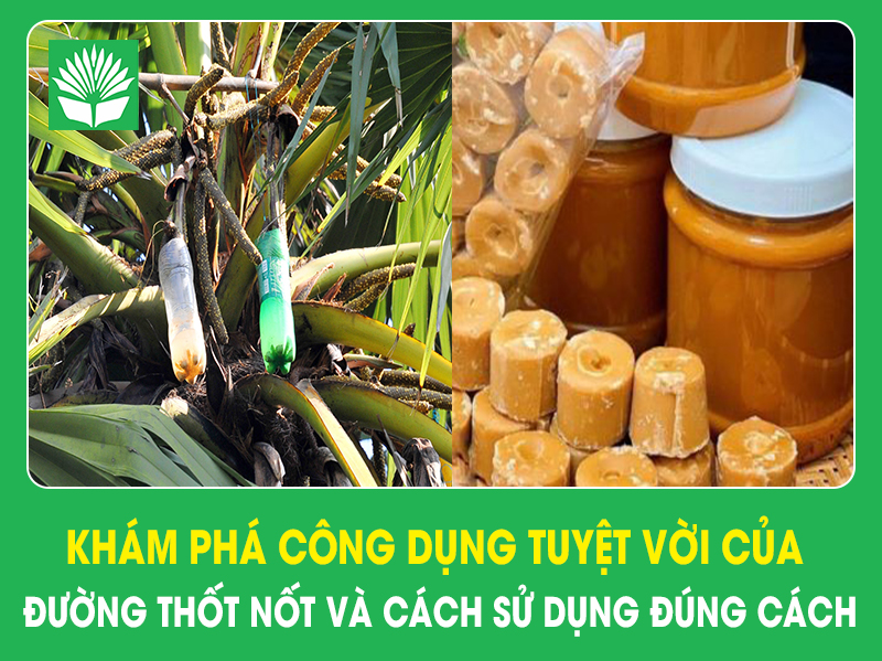Khám phá công dụng tuyệt vời của đường thốt nốt và cách sử dụng đúng cách