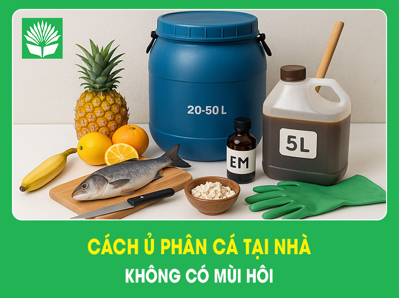 Cách ủ phân cá tại nhà không có mùi hôi