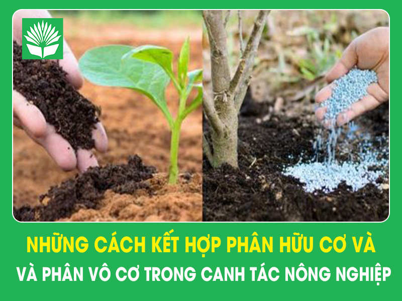 Những cách kết hợp phân hữu cơ và phân vô cơ hiệu quả trong canh tác nông nghiệp