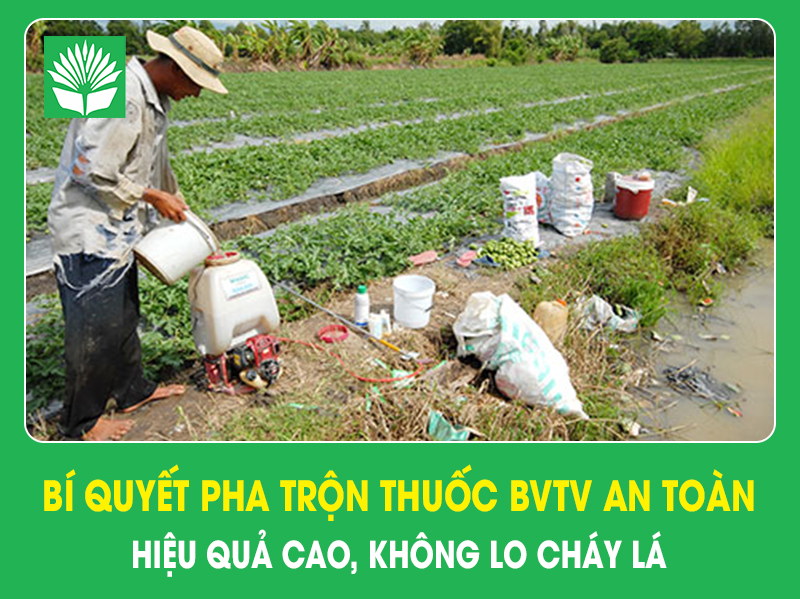 Bí quyết pha trộn thuốc BVTV an toàn – Hiệu quả cao, không lo cháy lá