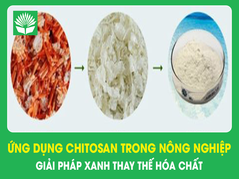 Ứng dụng chitosan trong nông nghiệp giải pháp xanh thay thế hóa chất