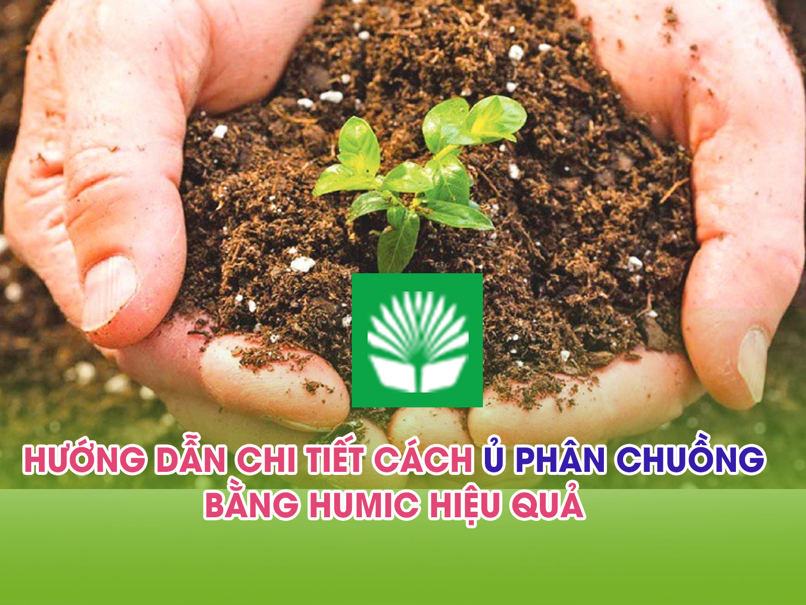 Hướng dẫn chi tiết cách ủ phân chuồng bằng humic hiệu quả