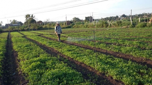 Sẽ loại bỏ thuốc diệt cỏ có thể gây ung thư